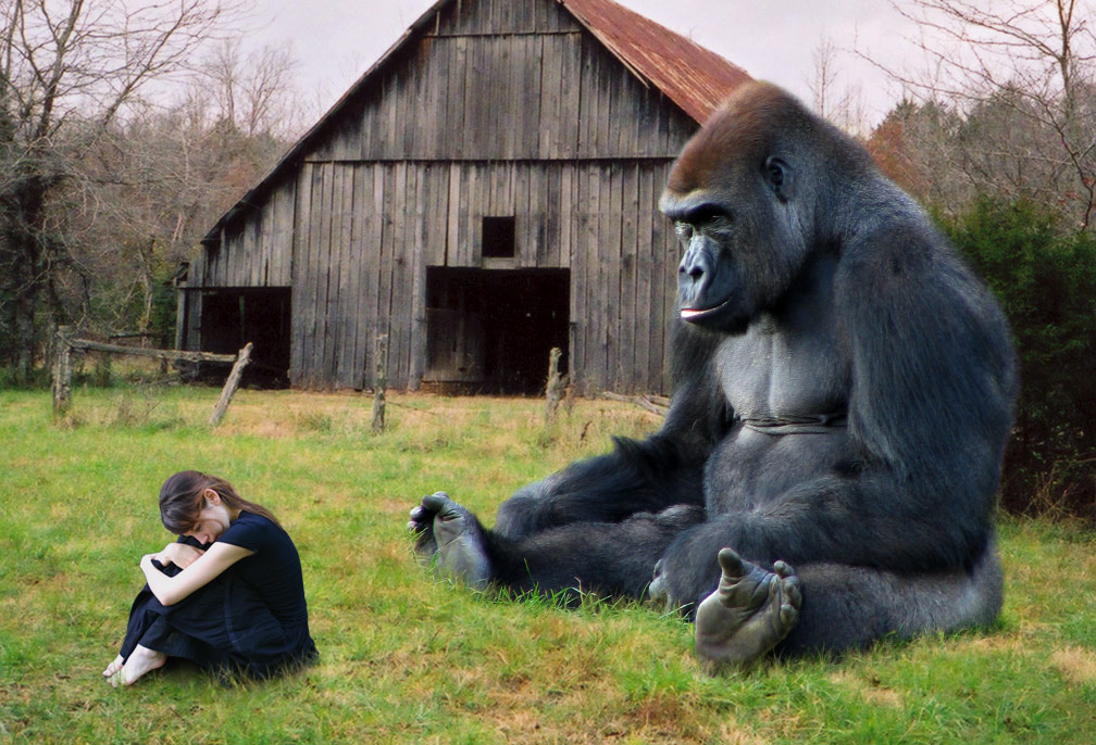 Photoshop Design by MrSlausen for DesignCrowd (Community Contests) | Design #9069249