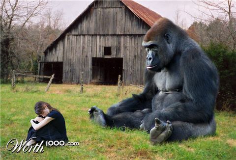 Photoshop Design by MrSlausen