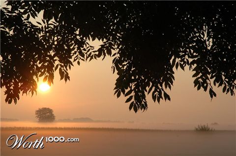 Photography by RealArt