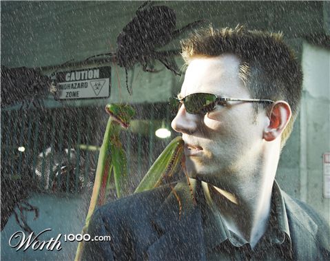 Photoshop Design by zetalink