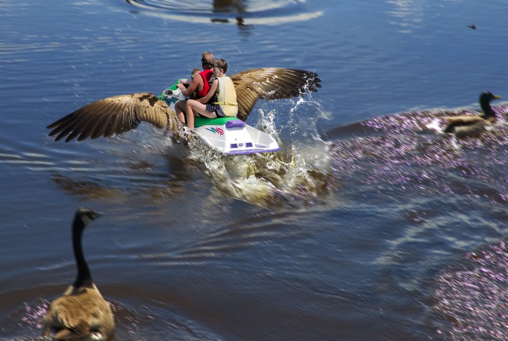 Design Photoshop par Pirciu pour DesignCrowd (Community Contests) | Design #9058119