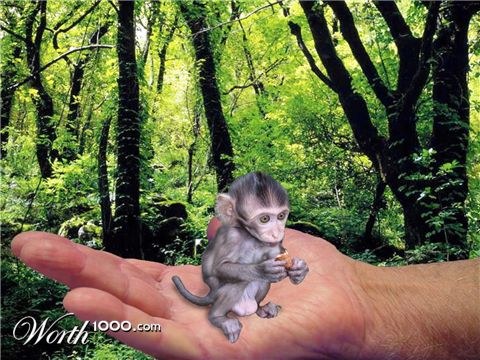 Photoshop Design by jonny722