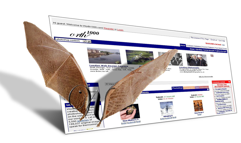 Photoshop Design by KGrobler for DesignCrowd (Community Contests) | Design #9058144