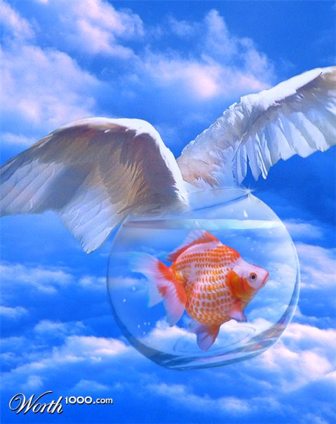 Photoshop Design by cameon