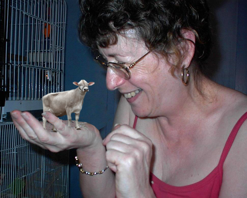 Photoshop Design by Sammyy for DesignCrowd (Community Contests) | Design #9069433