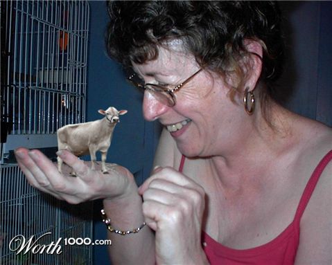 Photoshop Design by Sammyy