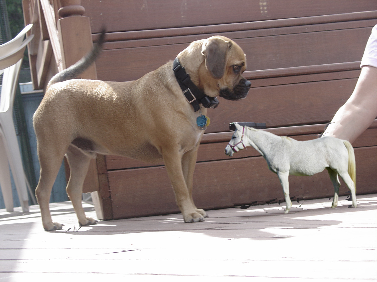 Photoshop Design by bottler for DesignCrowd (Community Contests) | Design #9069372