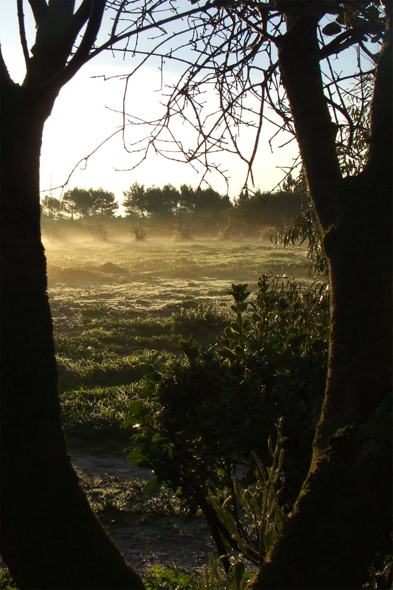 Photography by Marthese for DesignCrowd (Community Contests) | Design #9060805