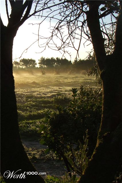 Photography by Marthese