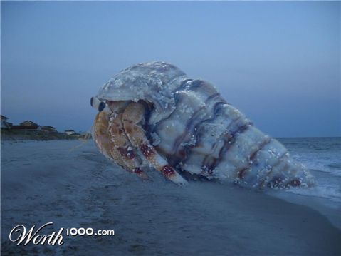 Photoshop Design by Garsaelon