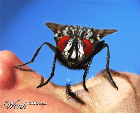 Photoshop Design by cromlechi