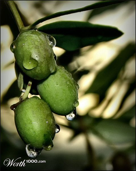 Photography by sfera01
