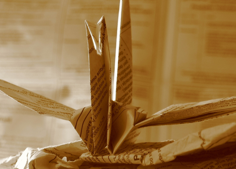 Photography by smekla for DesignCrowd (Community Contests) | Design #9058135