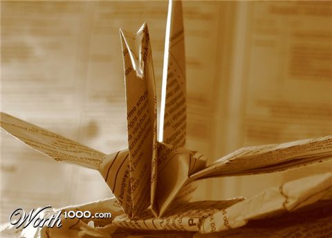 Photography by smekla