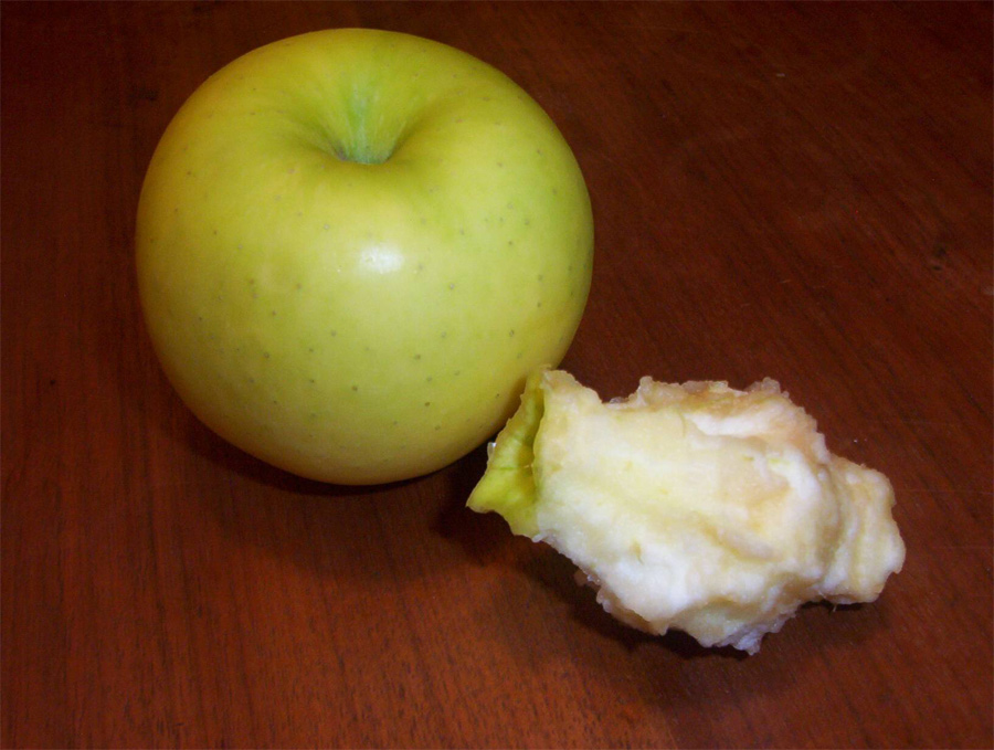 Photography by babydoll3410 for DesignCrowd (Community Contests) | Design #9058210