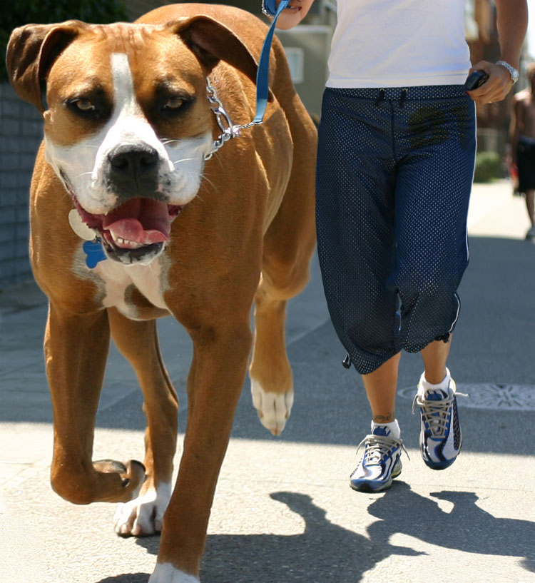 Photoshop Design by godzillatemple for DesignCrowd (Community Contests) | Design #9069566