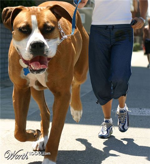 Photoshop Design by godzillatemple