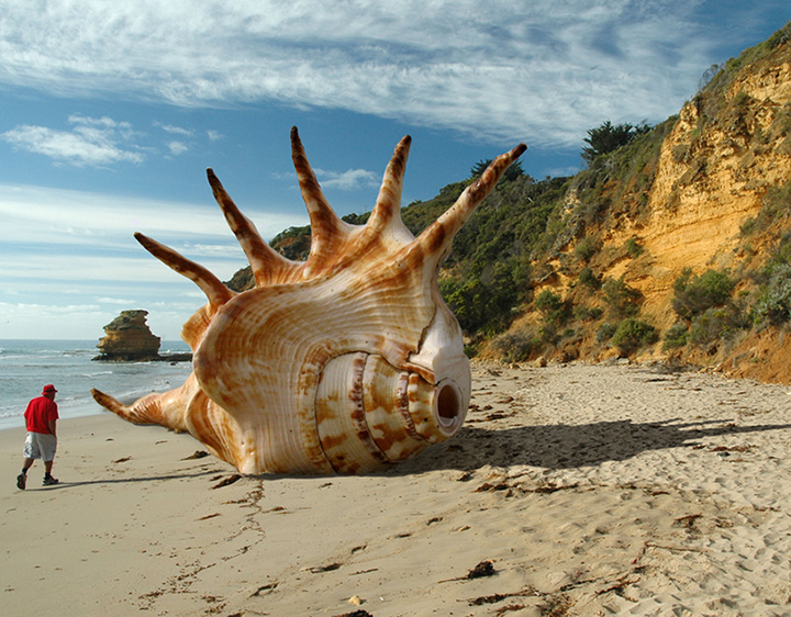 Design Photoshop par Dziedzic pour DesignCrowd (Community Contests) | Design #9069580