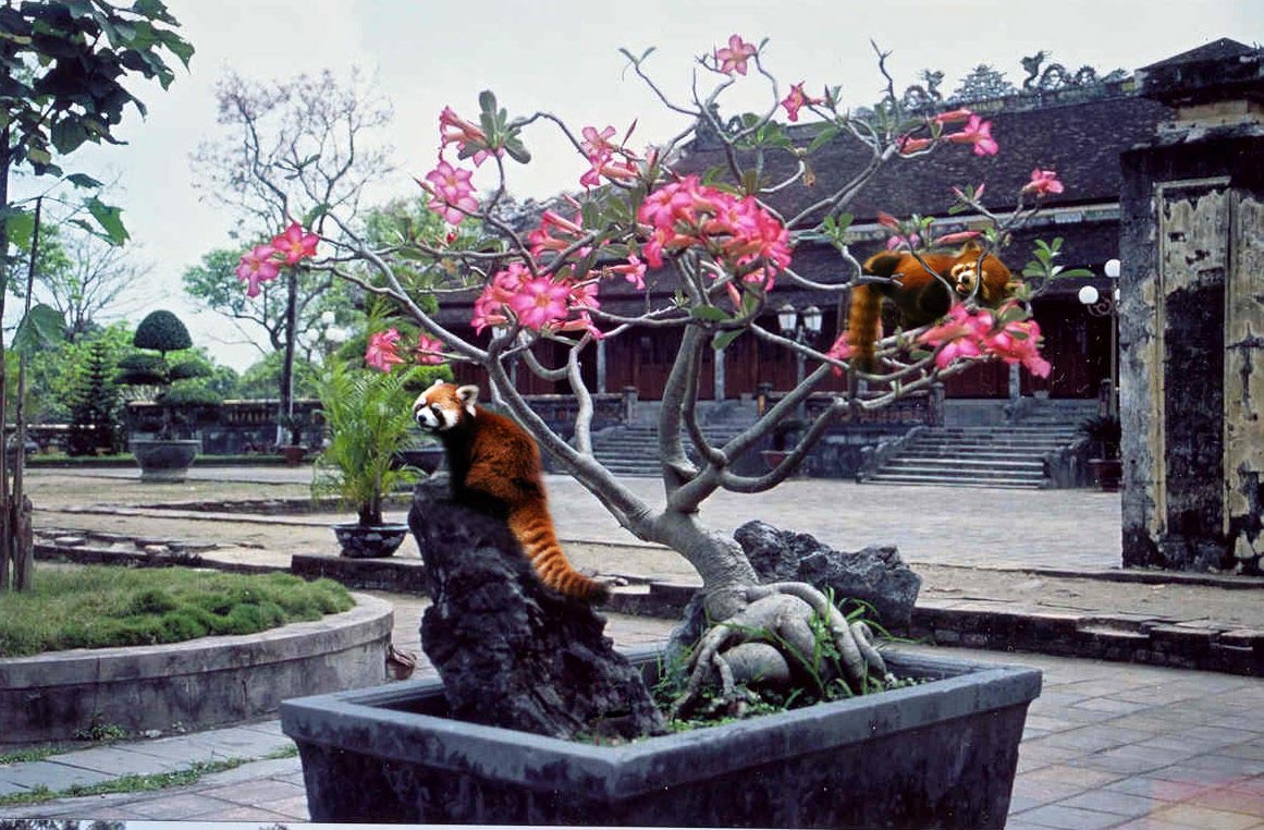 Photoshop Design by pacifico for DesignCrowd (Community Contests) | Design #9069660