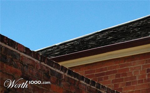 Photography by kimbomac