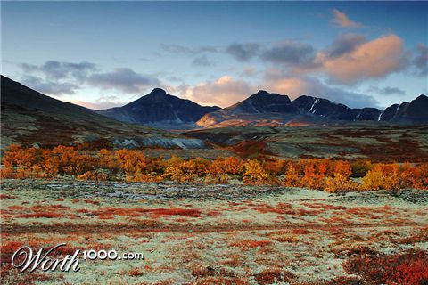 Photography by Boomby