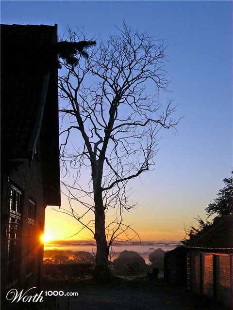 Photography by bertel