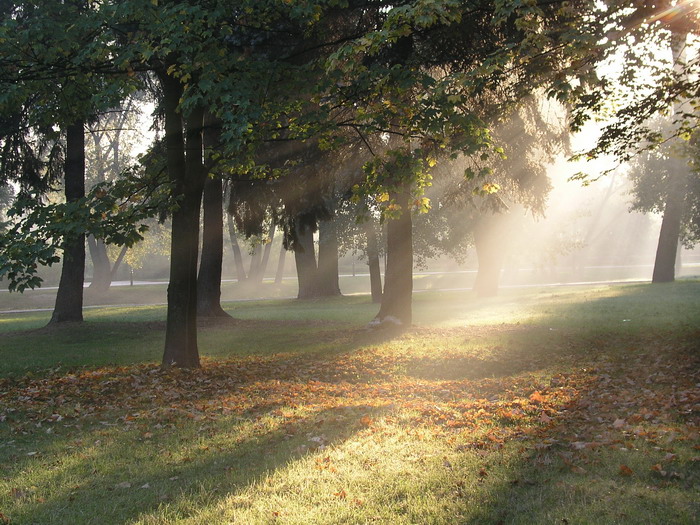 Photography by mzmzmzmz for DesignCrowd (Community Contests) | Design #9060734