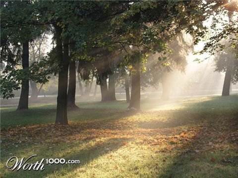 Photography by mzmzmzmz