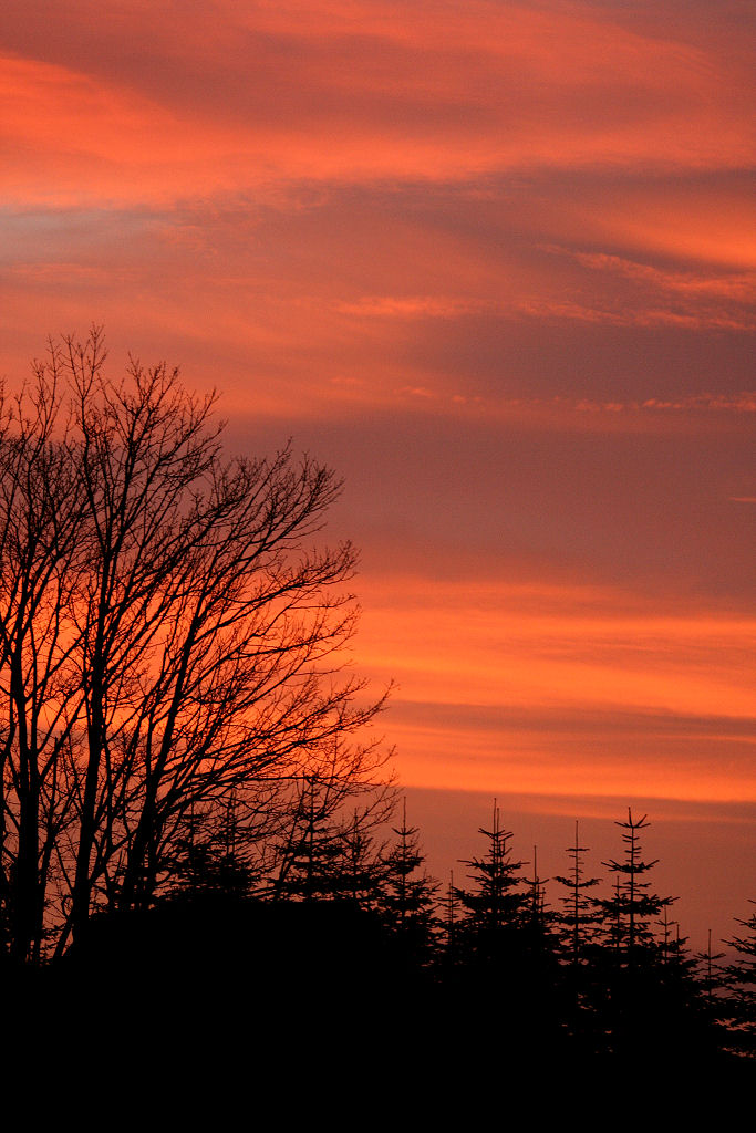 Photography by Momsen for DesignCrowd (Community Contests) | Design #9060789