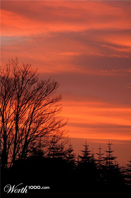 Photography by Momsen