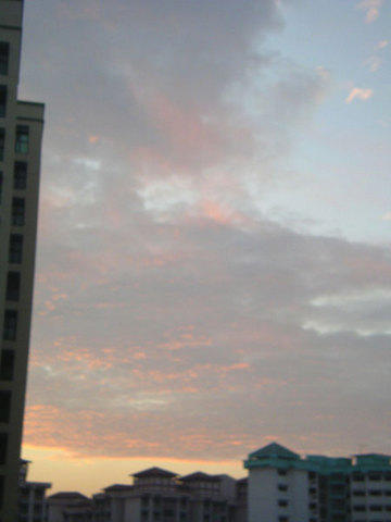 Photography by periflower for DesignCrowd (Community Contests) | Design #9060884