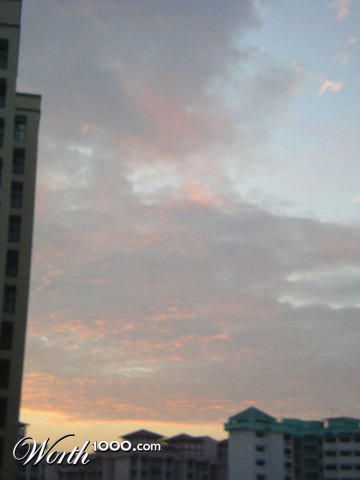 Photography by periflower