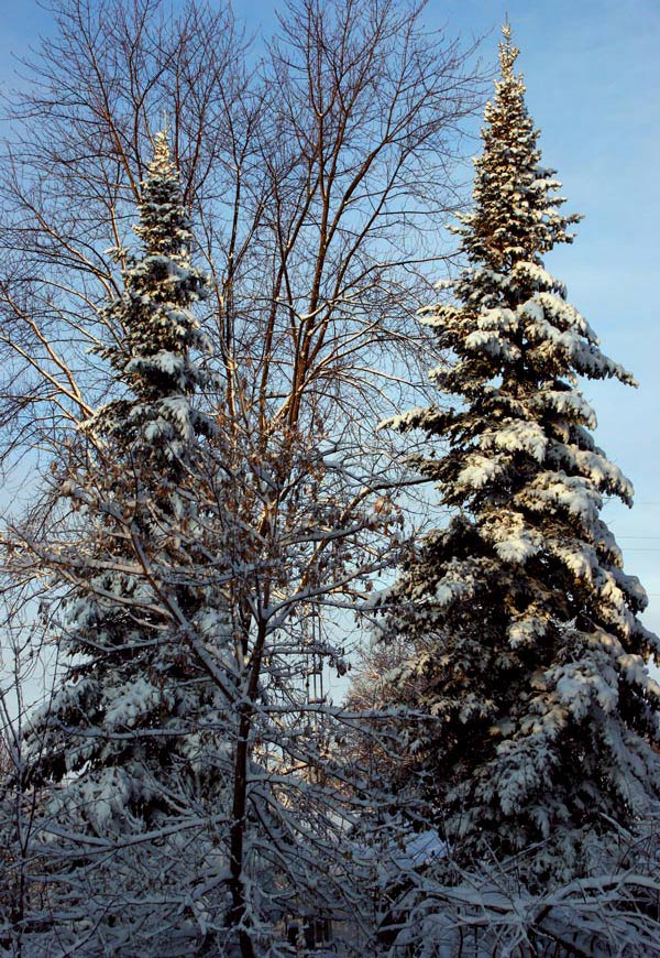 Photography by crawdaddy for DesignCrowd (Community Contests) | Design #9060802