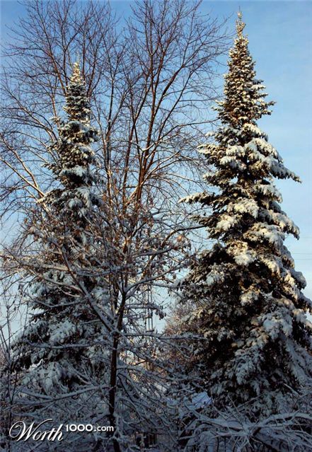 Photography by crawdaddy