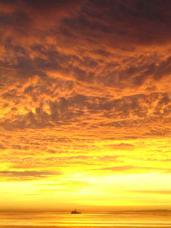 Fotografie von azchick für DesignCrowd (Community Contests) | Design #9060754