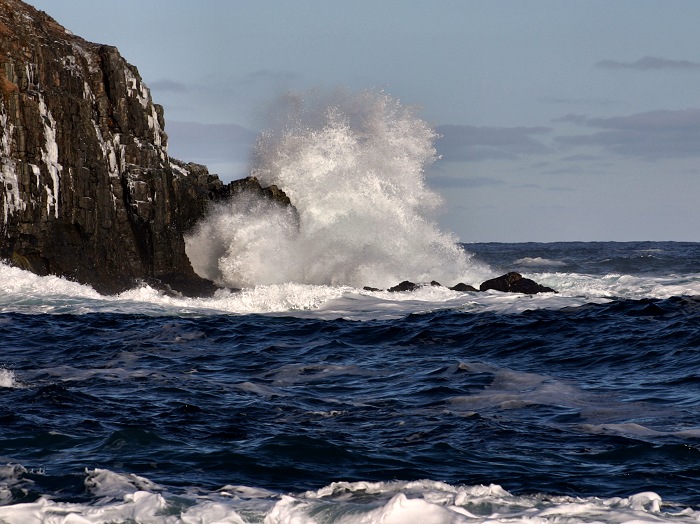 Photographie par KarenC pour DesignCrowd (Community Contests) | Design #9067102