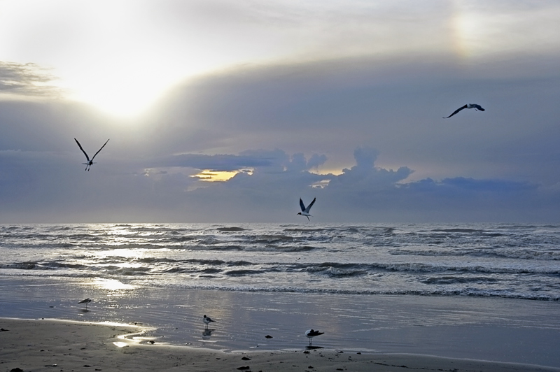 Photography by Fishcat for DesignCrowd (Community Contests) | Design #9067131