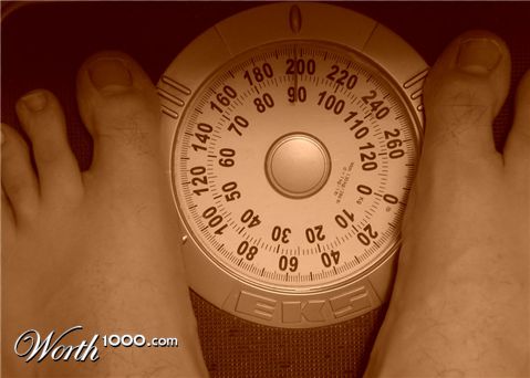 Photography by coolpix2