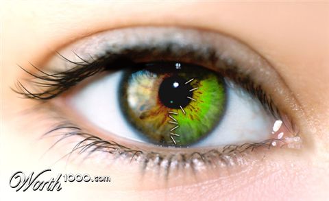 Photoshop Design by scream4me