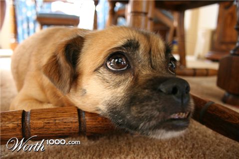 Photography by lilhorseebabee