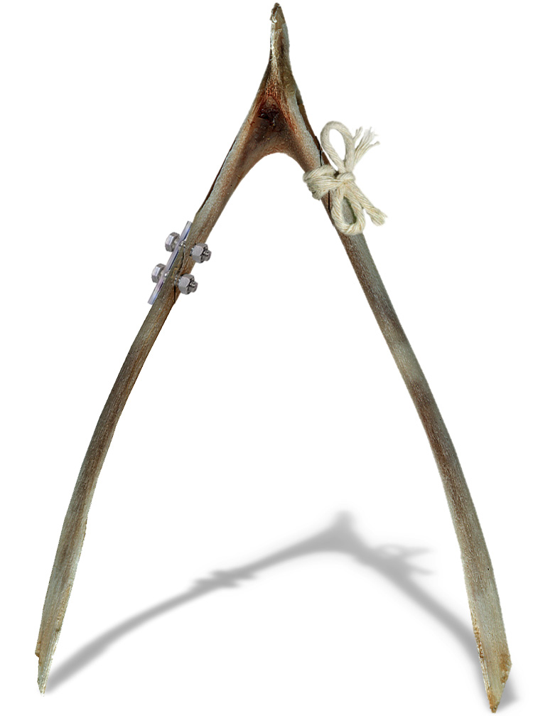 Design Photoshop par godzillatemple pour DesignCrowd (Community Contests) | Design #9058207