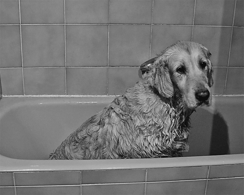 Fotografie von IsleofJura für DesignCrowd (Community Contests) | Design #9056684