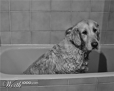 Photography by IsleofJura