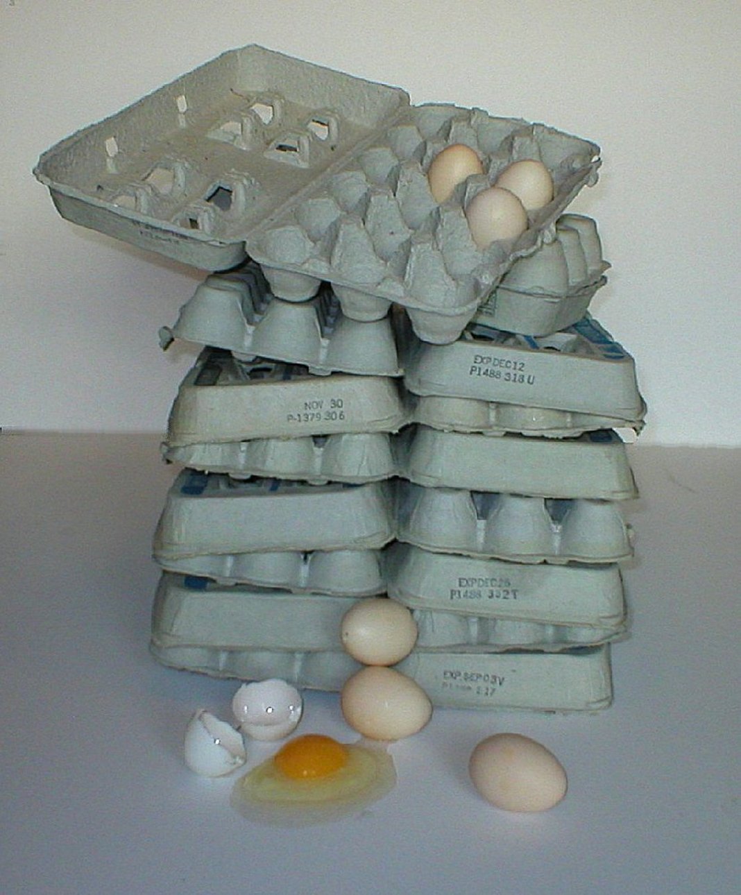 Photography by ShooterSue for DesignCrowd (Community Contests) | Design #9058365