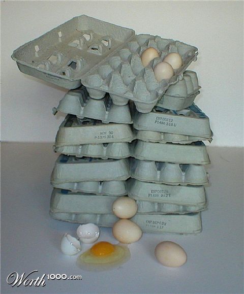 Photography by ShooterSue