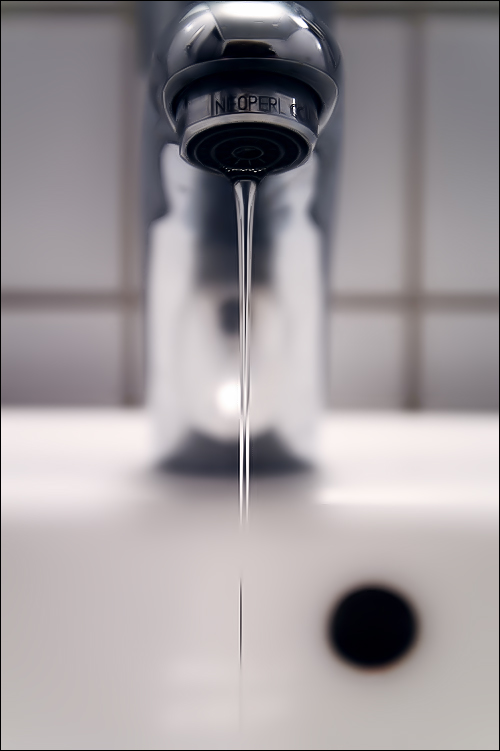 Photography by meerkat2 for DesignCrowd (Community Contests) | Design #9060089