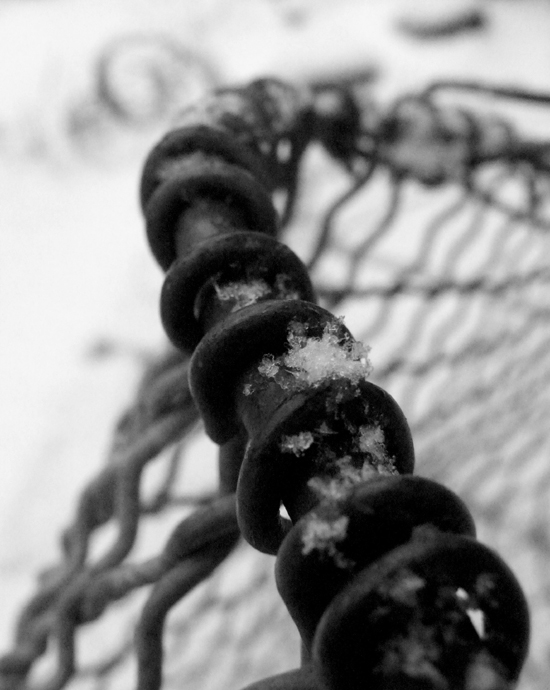 Photography by Flibble for DesignCrowd (Community Contests) | Design #9060126