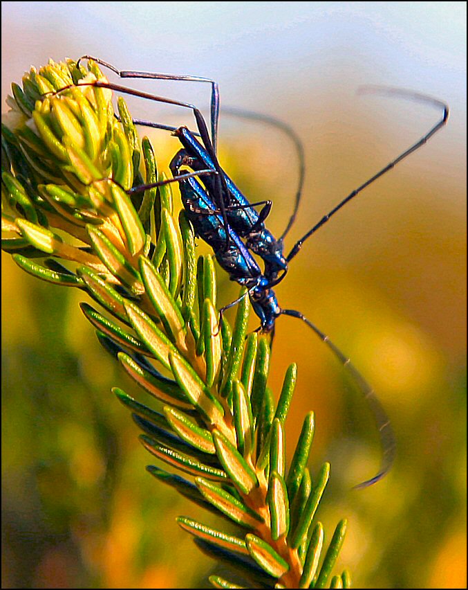 Fotografía por Juicer para DesignCrowd (Community Contests) | Diseño #9058348