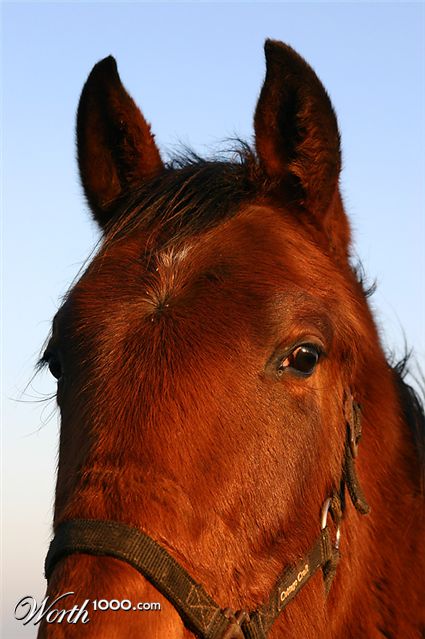 Photography by SigloV