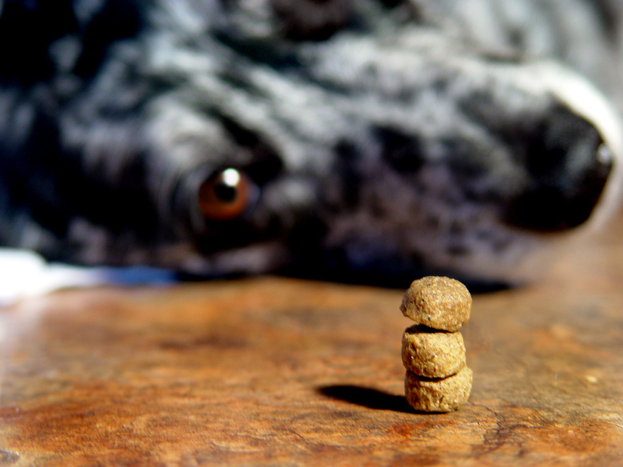 Photography by Meesch for DesignCrowd (Community Contests) | Design #9058357